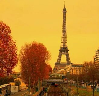 Paris gold