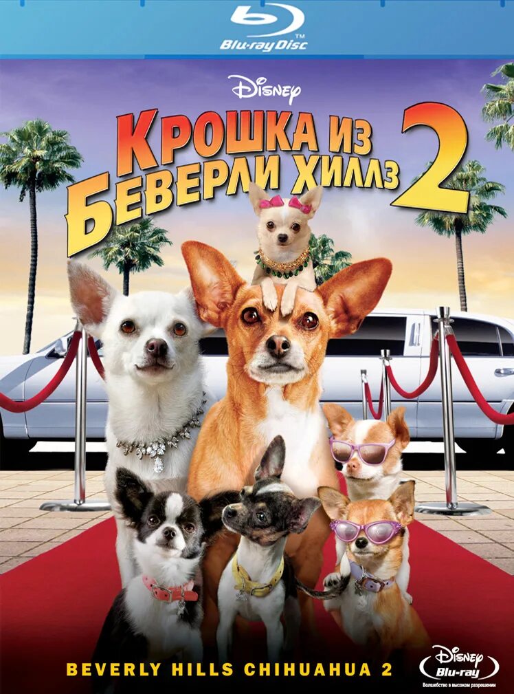 Крошка беверли хиллз 2012. Крошка из Беверли-Хиллз 2. Крошка из Беверли Хиллс Паппи.