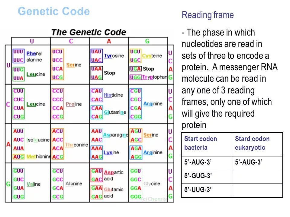 Code reading. Genetic code. genetic code table. genetics code. what is the genetic code.