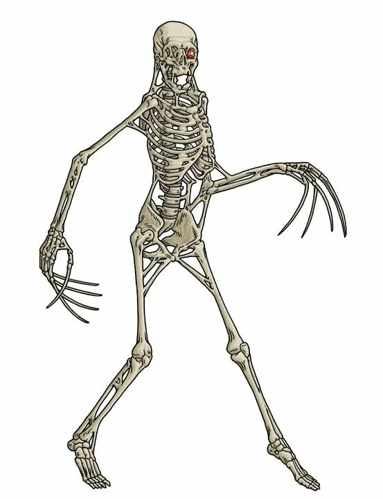 Костяной колосс скайрим. Костяной монстр. Годзилла скелет. Храм из черепов и костей во франции. Создал монстра из костей и тряпок.