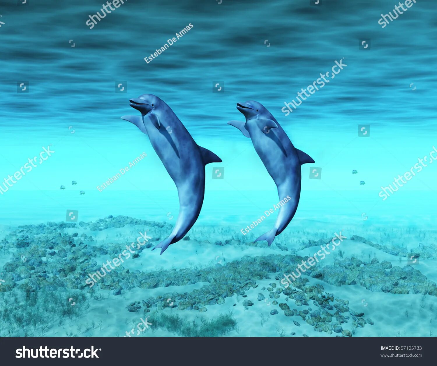 Человек дельфин. Дельфины танцуют. Танец под дельфины. Дельфины танцуют. Дельфины танцуют.
