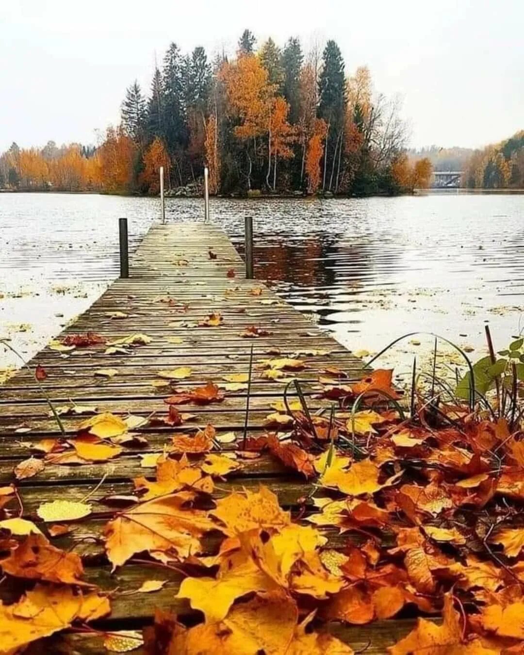Приходит октябрь. Осень. Мгновения осени. Осени прекрасные мгновения. Потрясающая осень.