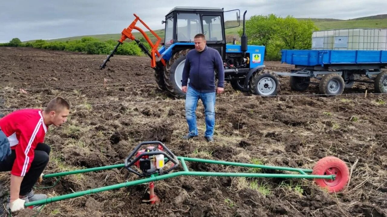 Соль земли высадили деревья. Массовая посадка деревьев в лесу. Школьники сажают. Посади лес русклиматфонд 21 мая. Куярское военное лесничество марий эл.