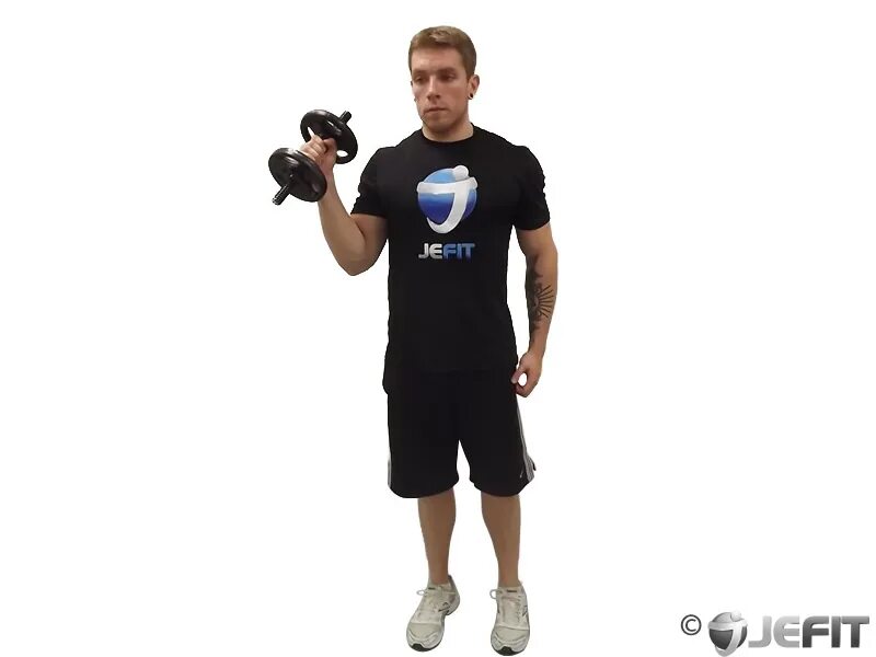 Curl log. Alternate arm-hammer curls. standing alternating dumbbell curls. cross body curls muscles. dumbbell supinated curls 3 sets x12 reps for each arm.