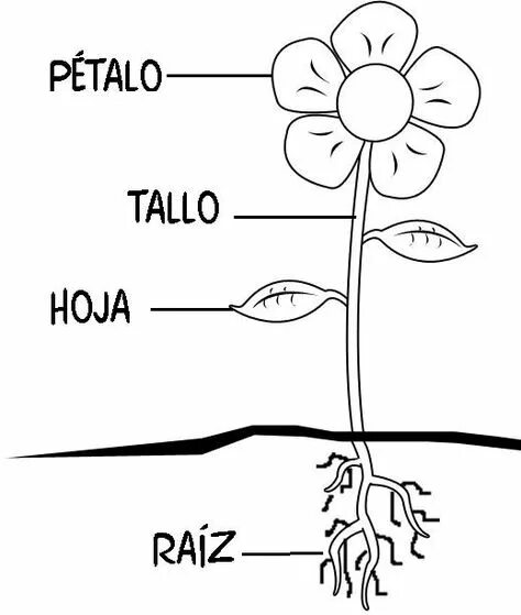 De una parte. De una parte