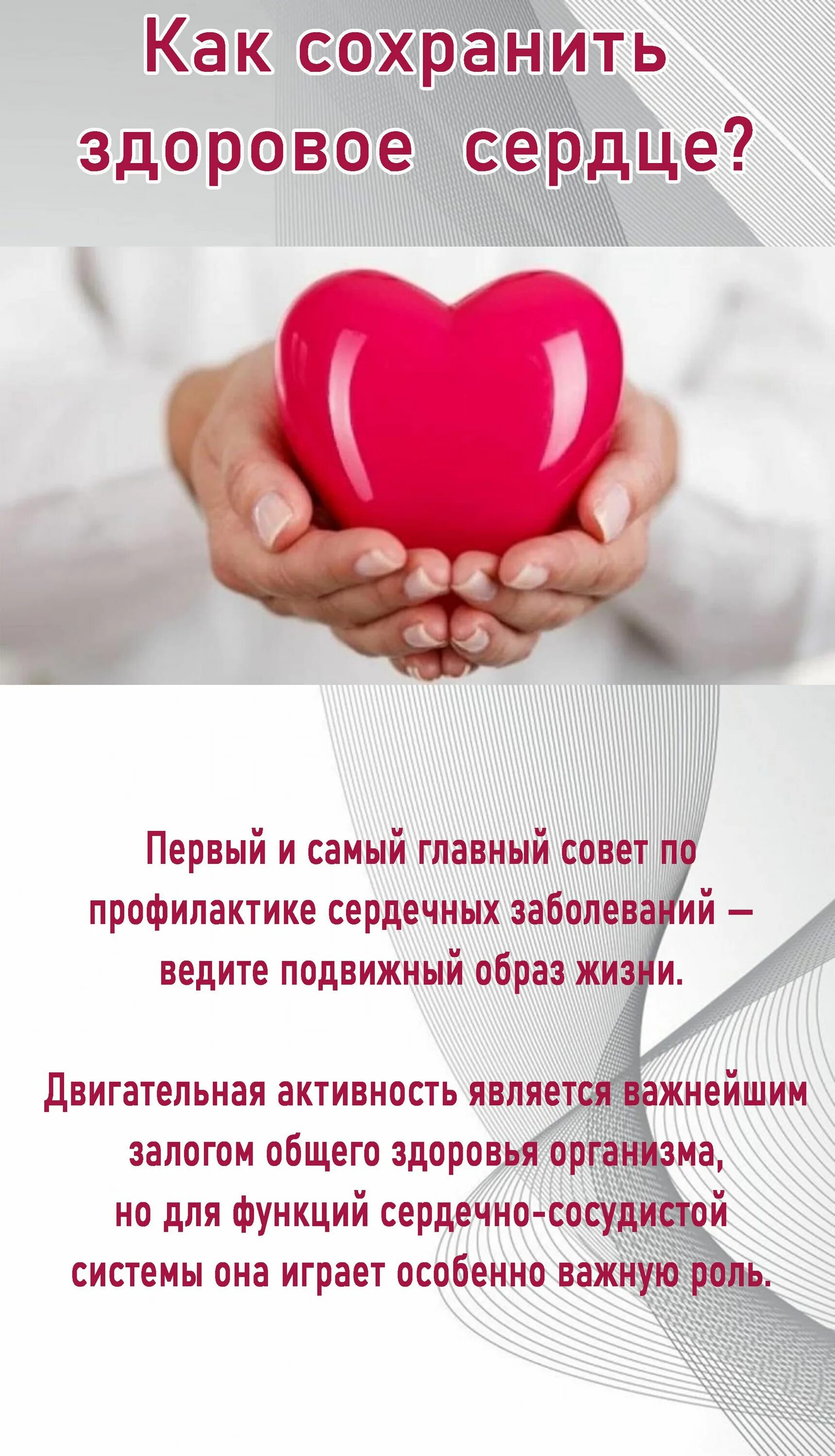 Сердце. Здоровое крепкое сердце. Пациенты с высоким сердечно сосудистым риском. Сердечно сосудистая патология. 29 сентября всемирный день сердца.