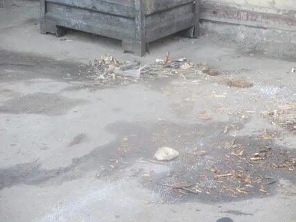 Разлив ртути