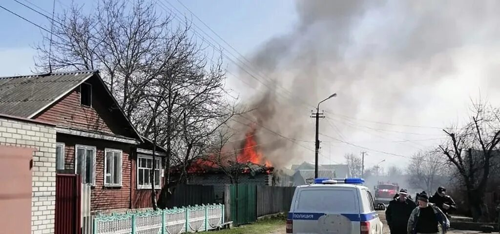 Террористов поймали в брянской обл