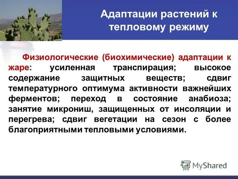 Физиологические адаптации у человека. Адаптация растений. Биохимическая адаптация растений. Физиологические и биохимические адаптации. Физиологические адаптации растений.