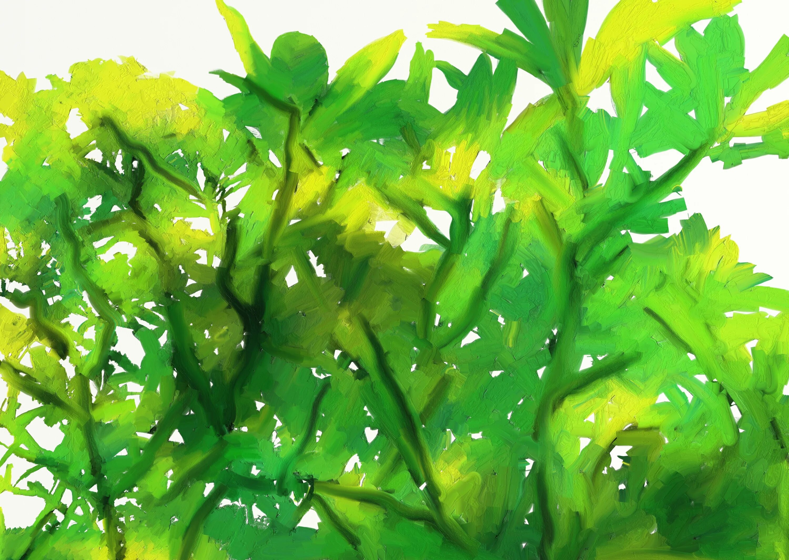 Цветущие водоросли. Листья водорослей. Зеленый куст в живописи. Зеленая краска для дерева. Листья зеленые живопись.