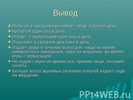 Пищит 4 раза