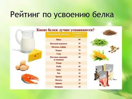 Почему организм не усваивает белок