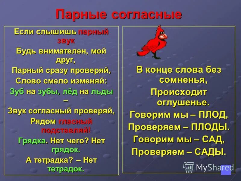 Красные в корне слова. Правило парные звонкие и глухие согласные. Парные звонкие и глухие согласные в корне слова правило. Правило о проверке парных звонких и глухих согласных. Правило парный звонкий и глухой согласный.