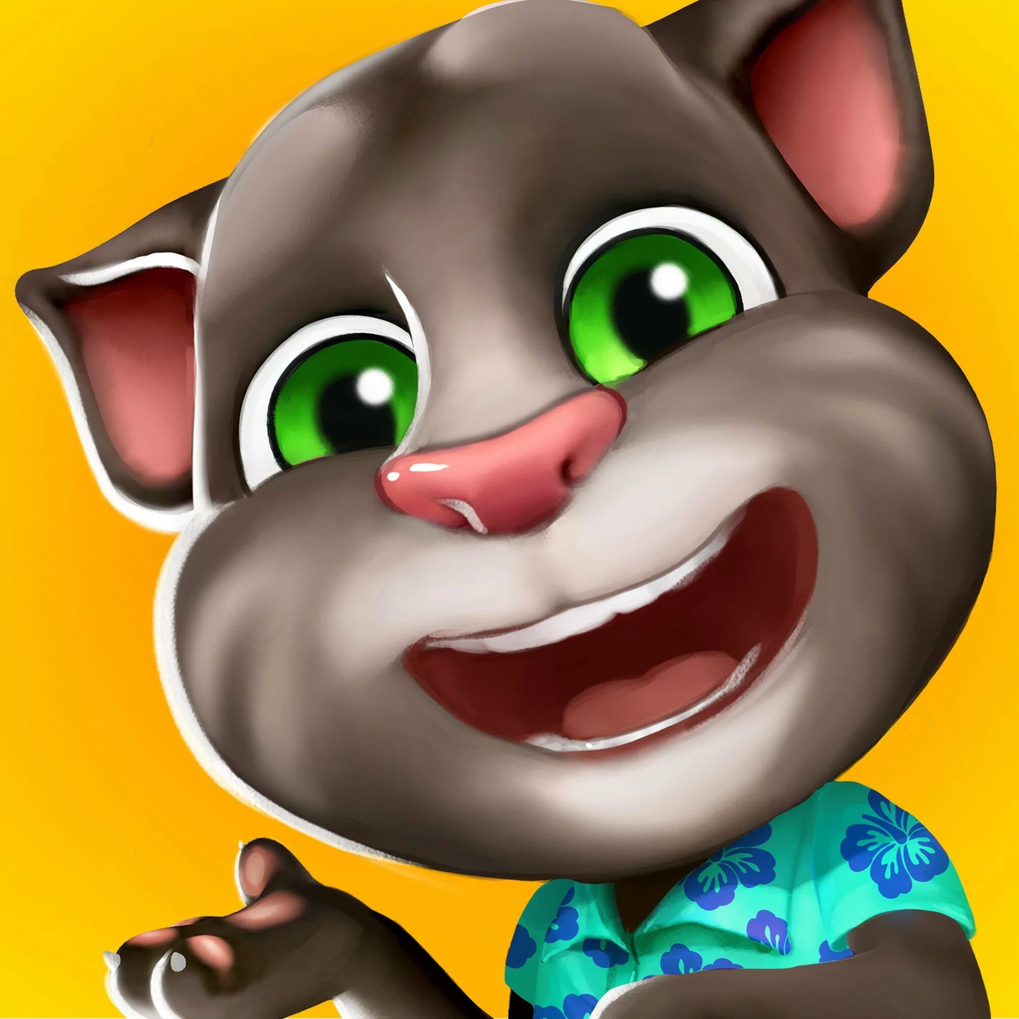 Создатель my talking tom. Talking Tom. Talking Tom 1997. Talking Tom 2005. Talking Tom 2.