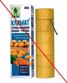 Клоп дымовой