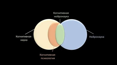 Когнитивные нейронауки вшэ