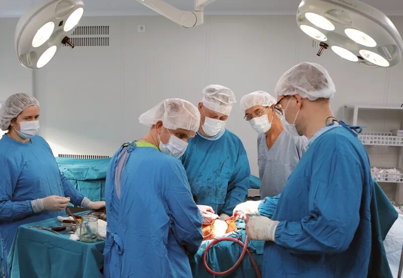 Хирург трансплантолог. Вредена институт Операционная.
