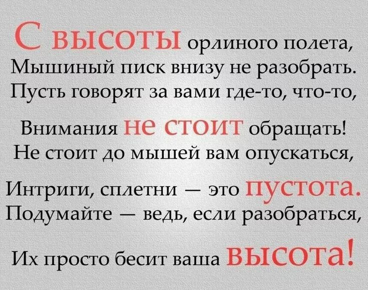 Не обращай внимание на мысли. Высказывания про сплетников. Афоризмы про сплетников и завистников. Афоризмы про сплетни. Высказывания про сплетни.