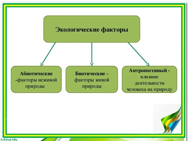 Экологический фактор страны. Экологические факторы. Экологические факторы таблица. Экологические факторы 5 класс. Экологические факторы 5 класс биология.