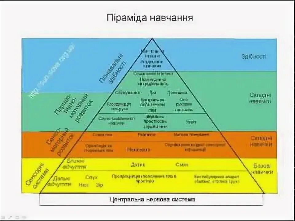 Вильямс шелленбергер. Пирамида развития ребенка вильямс и шелленбергер. пирамида вильямса и шелленбергера. пирамида обучения вильямса. пирамида обучения вильямс и шелленбергер описание.