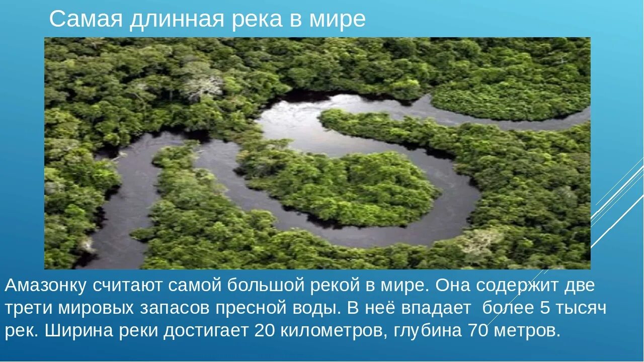 Самая длинная река в россии полностью протекающая. Рекорды земли река Амазонка. 5 Самых длинных рек в мире.