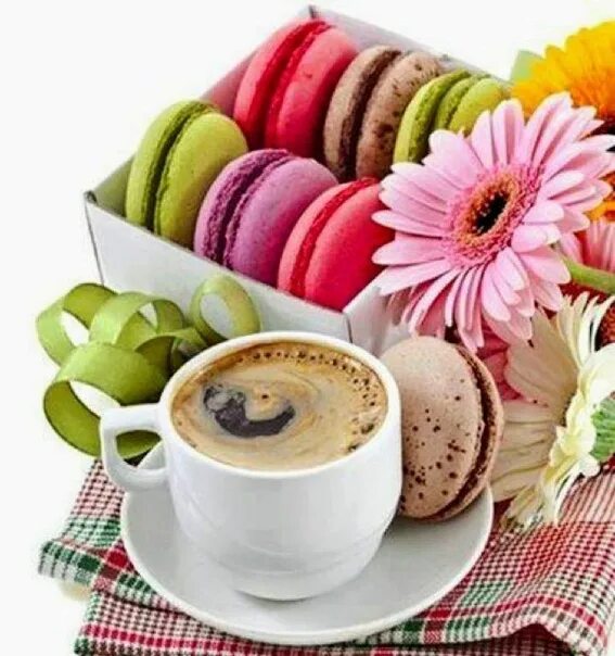 Pin by Imma Pisacane on Buongiorno Good morning gif, Good morning flowers, Speci