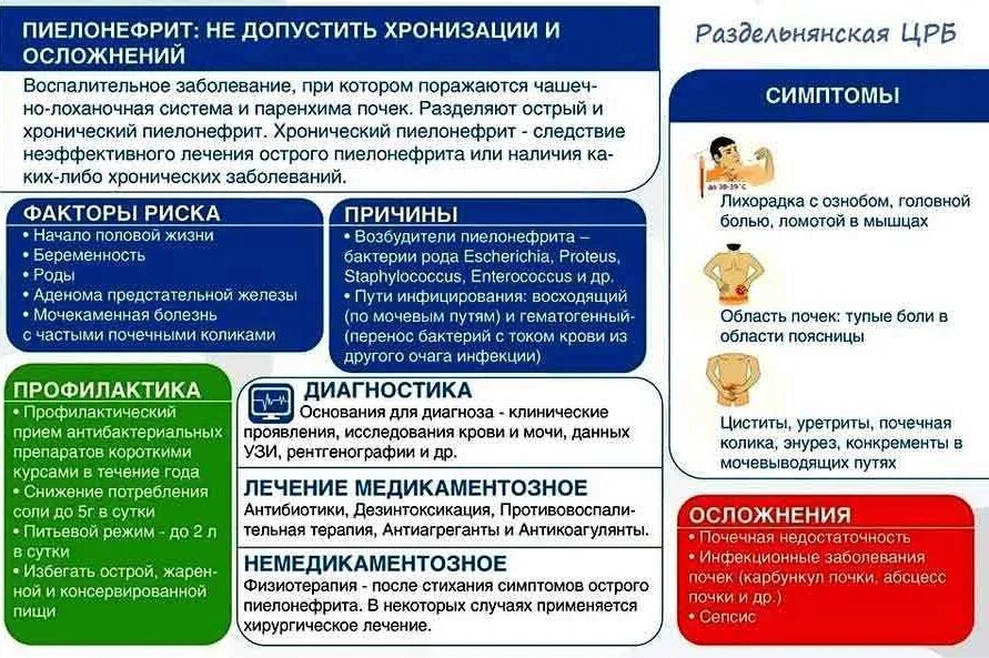 Почки научная статья. Памятка по хроническому пиелонефриту. Профилактика острого пиелонефрита буклет. Памятка по профилактике пиелонефрита у детей. Профилактика хронического пиелонефрита памятка.