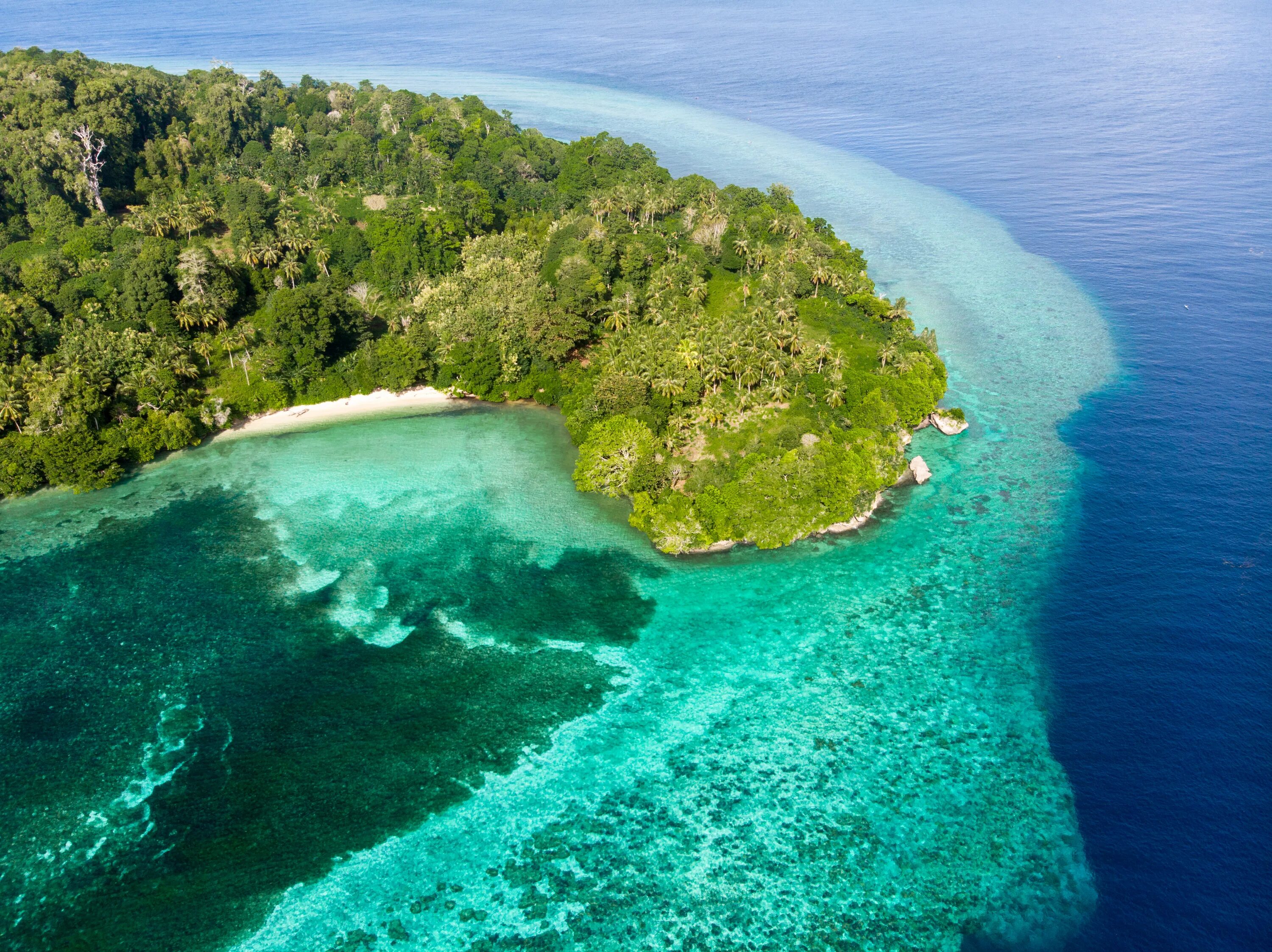 Остров комодо индонезия. Индонезия храм танах лот. Острова индонезии. Коралловые рифы острова раджа-ампат. Дикая природа островов индонезии.