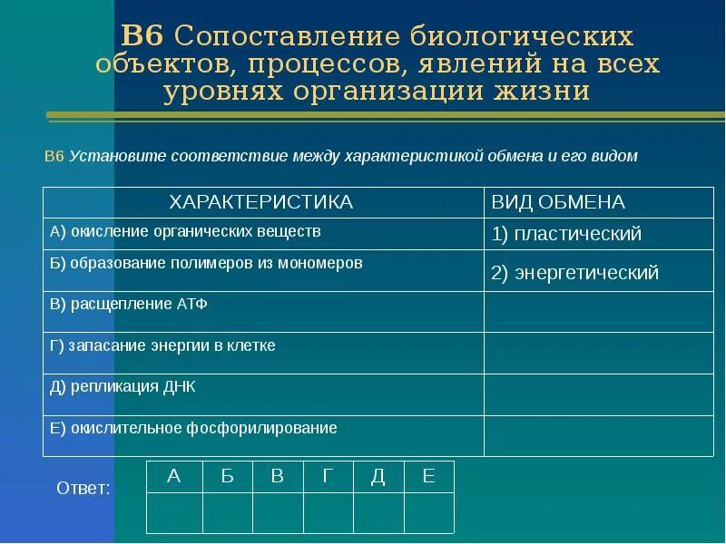 На каком минимальном уровне организации