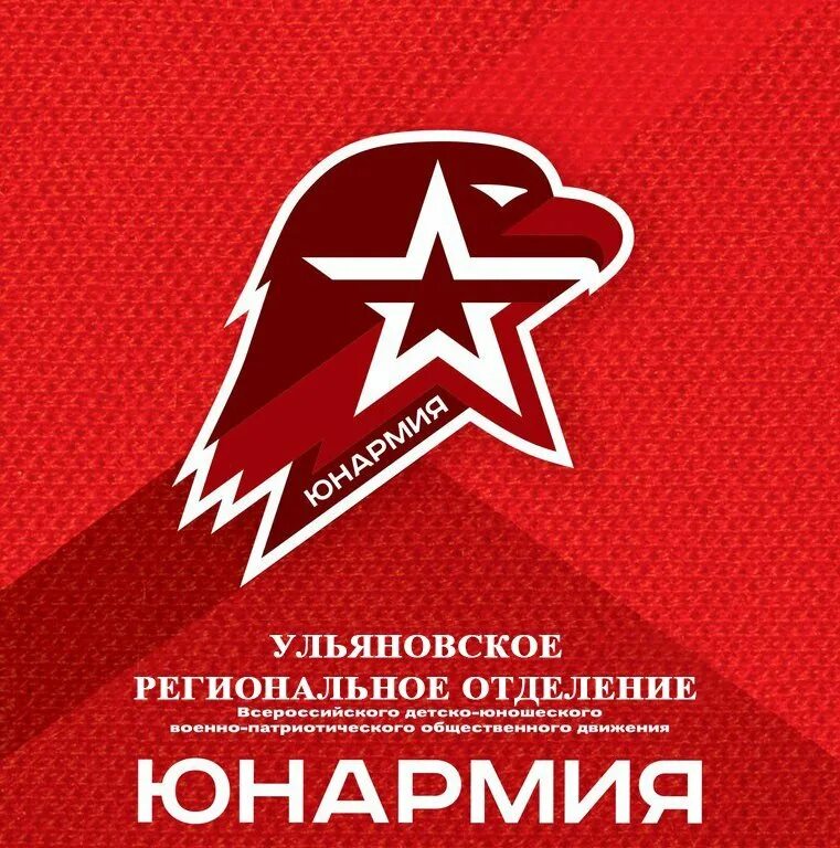 Эмблема юнармии. Флаг юнармии. символика юнармии. юнармия символ. юнармия баннер.