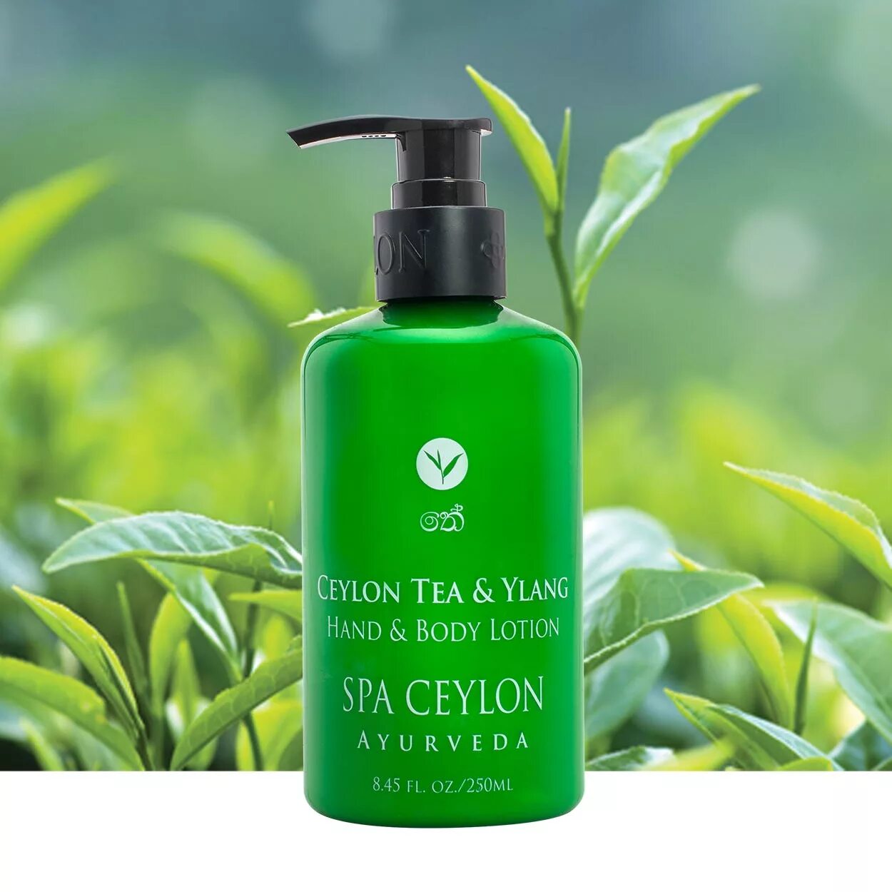 Гель для душа spa ceylon ayurveda антистресс. Spa ceylon. Гель для душа spa ceylon ayurveda антистресс. Гель для душа spa detox. Spa ceylon косметика.