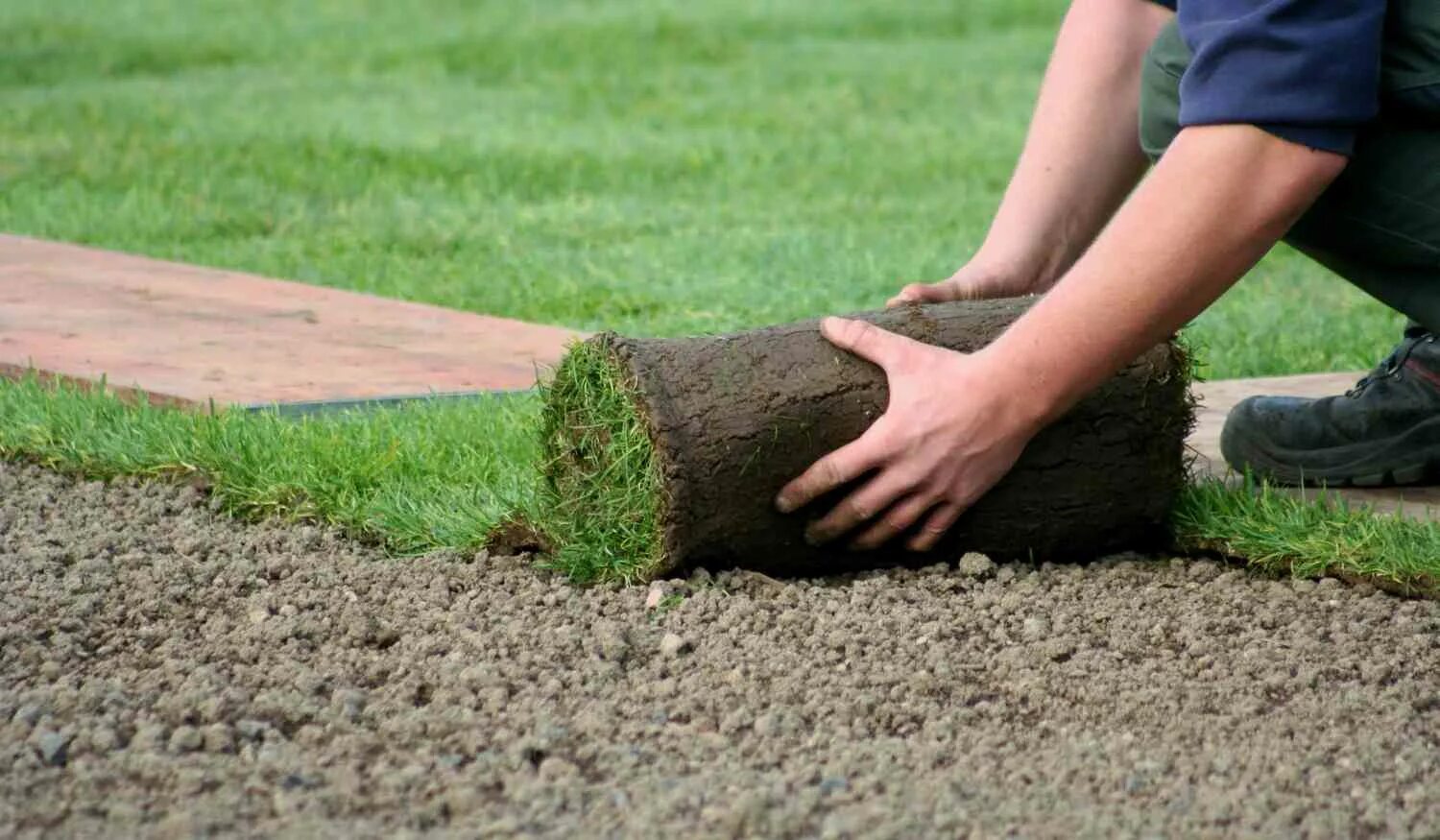 Рулонный газон на участке. Рулонный газон. Работа устройству газона. Укладывание рулонного газона. Работа устройству газона.