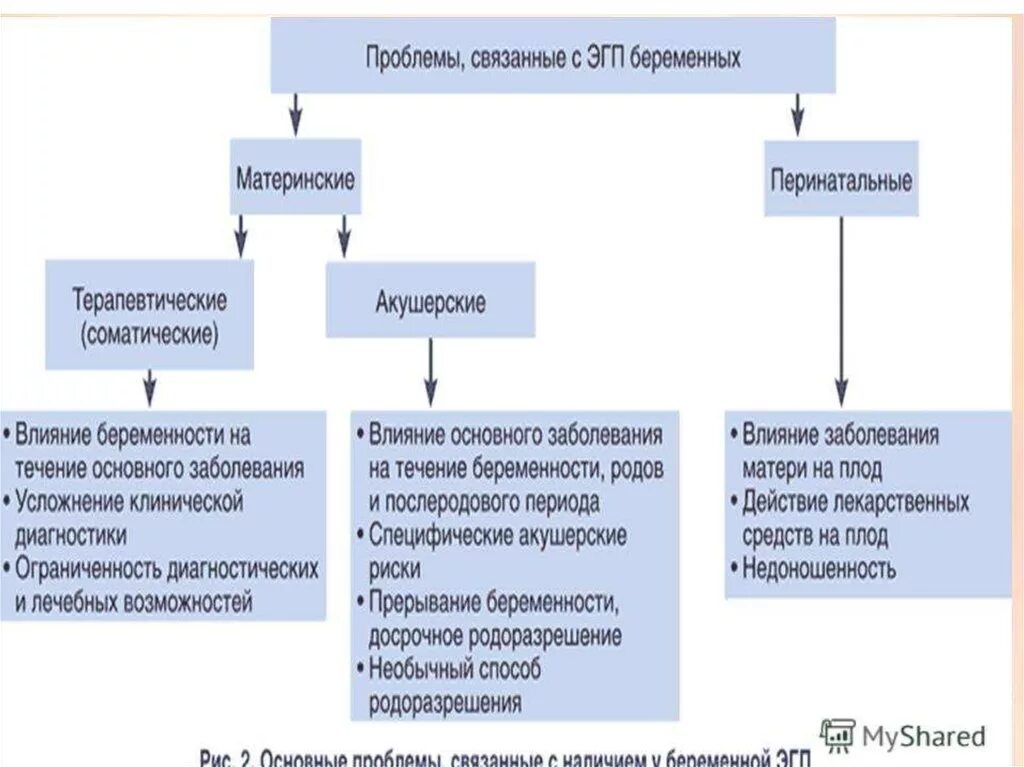 Экстрагенитальные заболевания беременных. Заболевания экстрагенитальной патологии. Заболевания связанные с беременностью. Экстрагенитальная патология при беременности. Риски беременности.