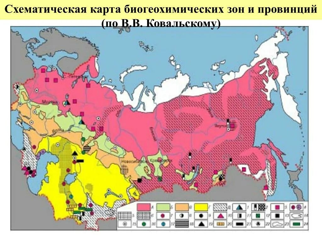 Значение провинции. Карту биогеохимических зон и провинций ссср. биогеохимические зоны и провинции по в.в ковальскому. карта биогеохимических провинций по в в ковальскому. естественные биогеохимические провинции россии на карте россии.