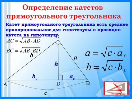 Катет делит гипотенузу пополам