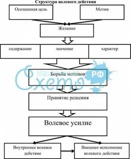 Волевое действие борьба мотивов