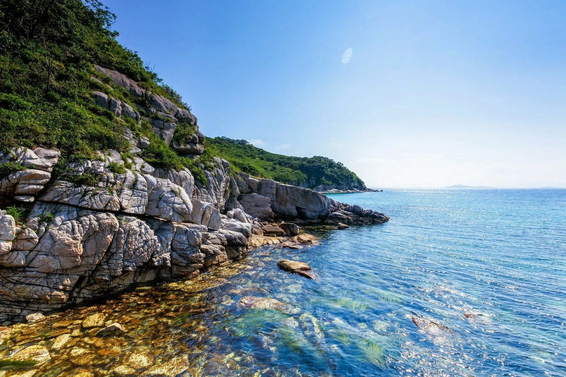 Дальневосточный морской бассейн. Дальневосточный морской бассейн
