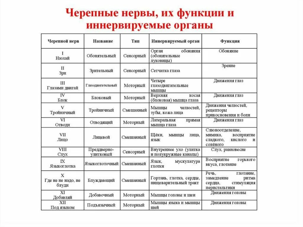 Функции черепных нервов таблица. 12 Пар черепно мозговых нервов таблица иннервация. Классификация черепно-мозговых нервов по функциям таблица. Функции черепно мозговых нервов таблица. Иннервация черепно мозговых нервов