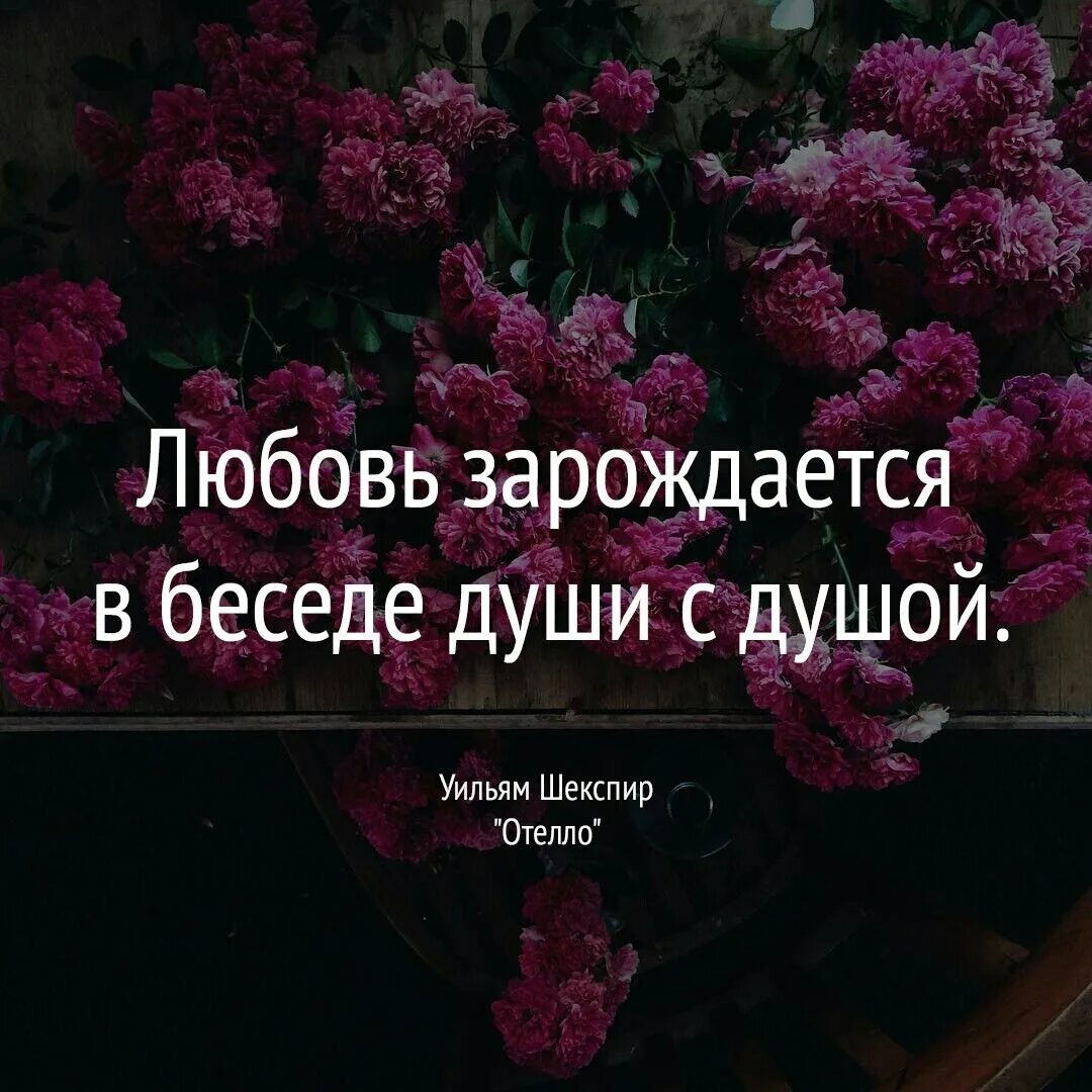 Диалоги цитаты. Любовь зарождается в беседе души с душой. душевные разговоры цитаты. любовь зарождается в беседе души с душой уильям шекспир. душевная беседа цитаты.