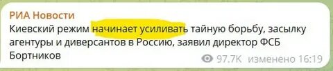 Телеграмм рой тв