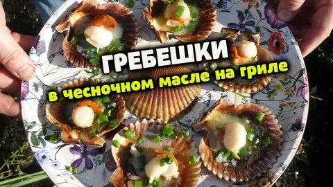 Гребешок рассказ