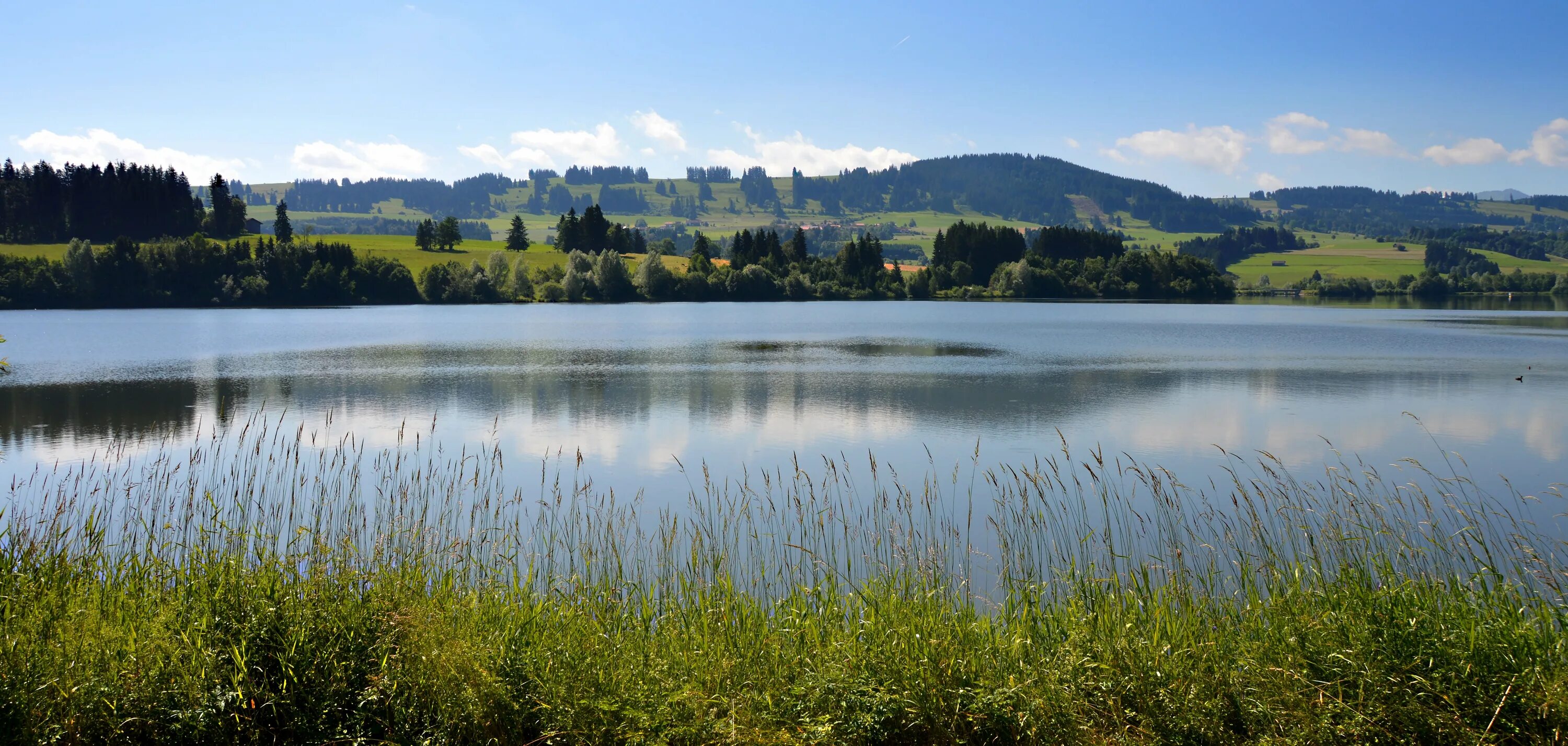 Озеро панорама. Река панорама. Берег реки панорама. Берег озера. Светлые пруды