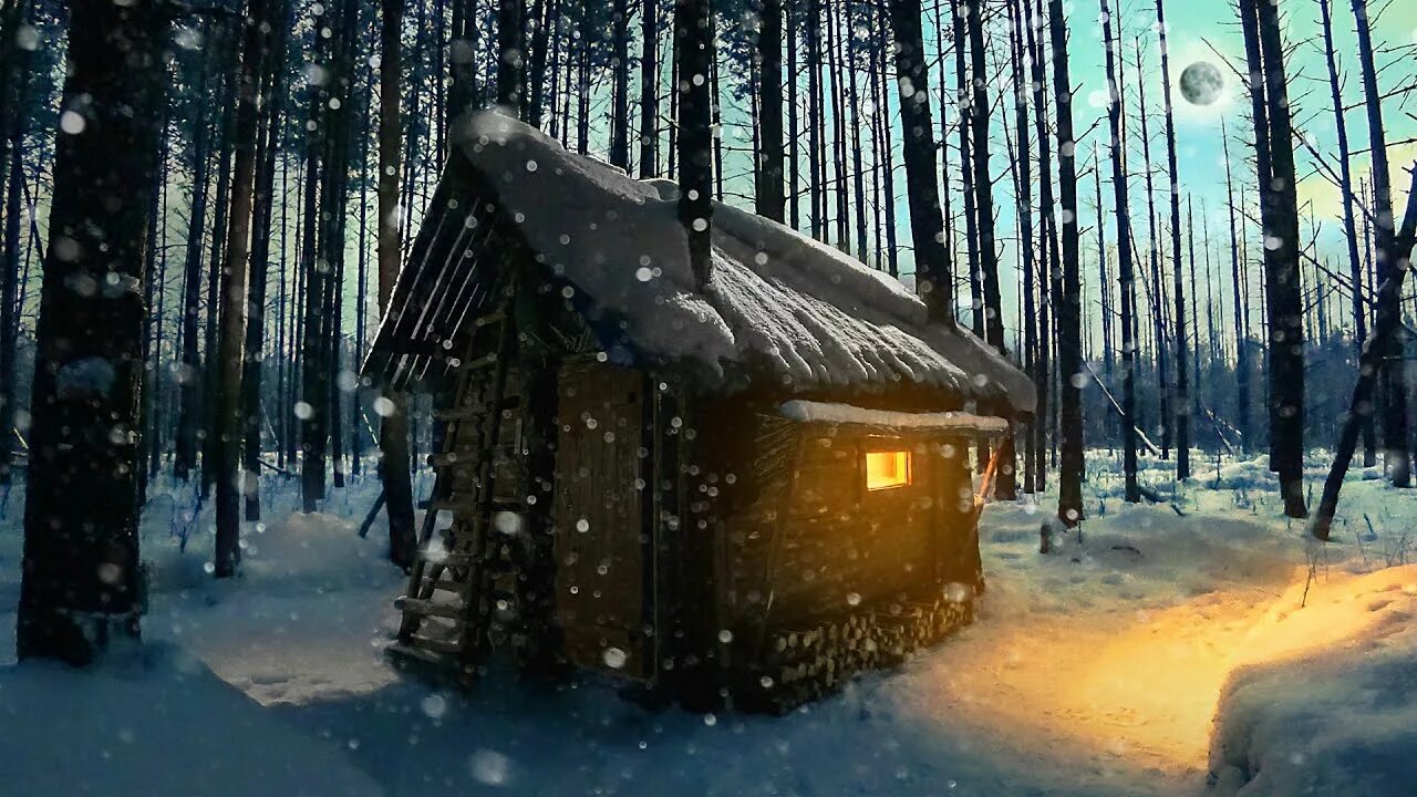 Жизнь в избе в лесу