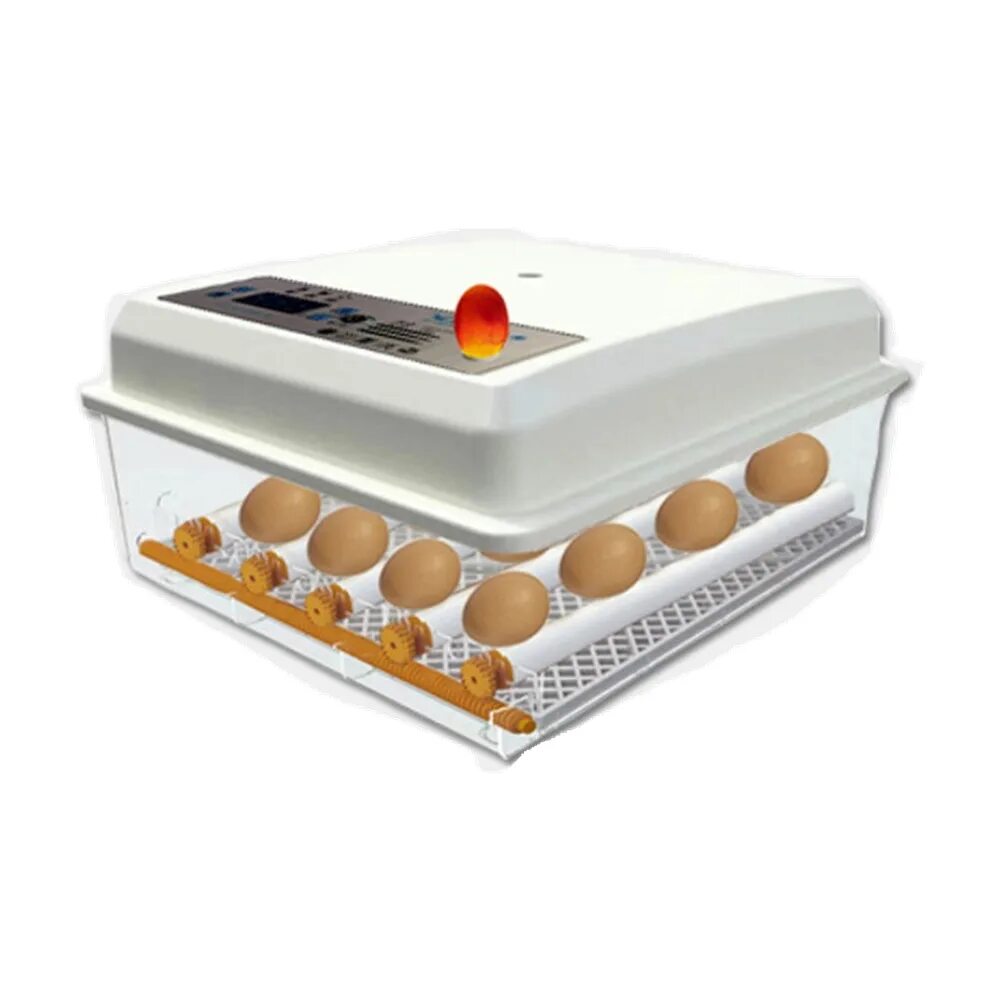 Инкубатор на 36 яиц автоматический переворот. Egg incubator 16 яиц. Инкубатор Тернер на 16 яиц. Fully Automatic Egg incubator. Wei Qian инкубатор.
