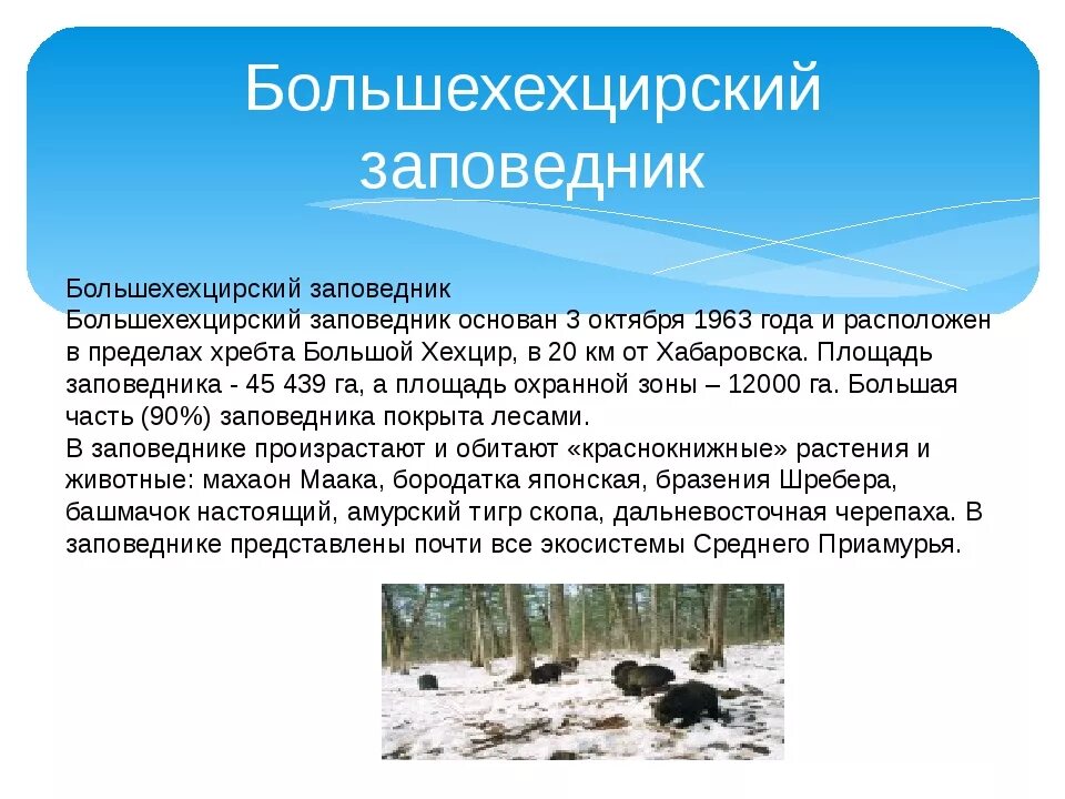 Заповедники хабаровского края. Хехцирский заповедник хабаровск. Заповедники и заказники хабаровского края. Особо охраняемые природные территории хабаровского края. Анюйский заповедник хабаровского края.