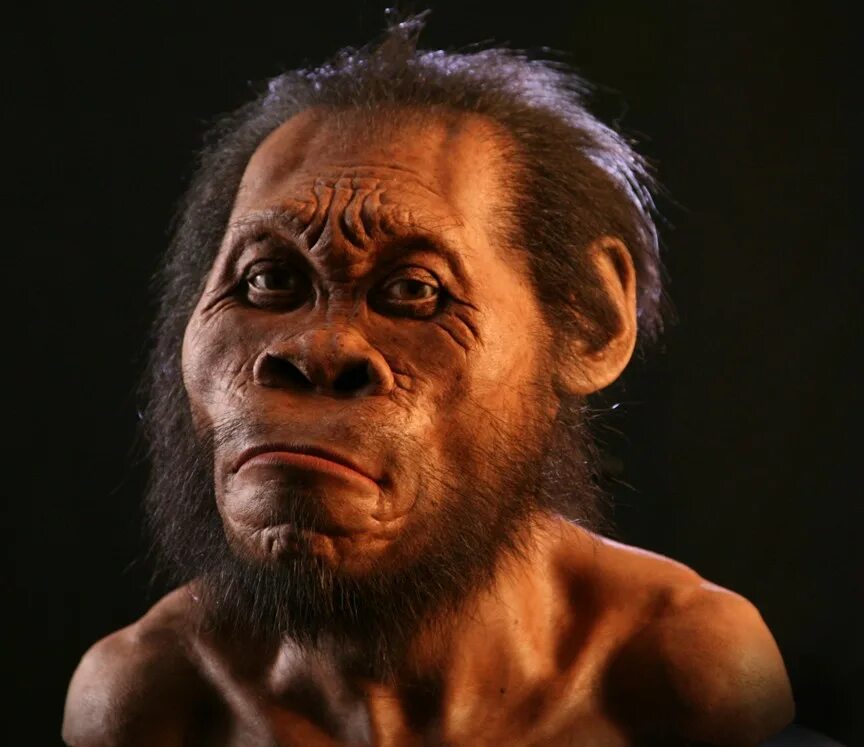 Человек 1 млн лет назад. Homo Naledi.