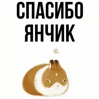 Янчик мемы