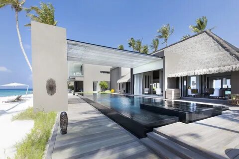 Cheval blanc