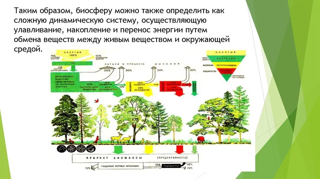 Живое вещество распределено в биосфере. Транспортная функция живого вещества. Транспортная функция биосферы. Транспортная функция живого вещества в биосфере. Транспортная функция живого вещества в биосфере примеры.