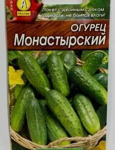 Огурцы сорт монастырский